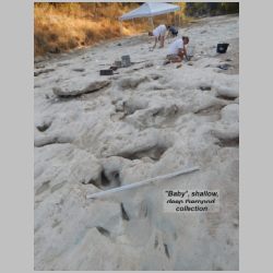 DSCN0681cr Julia Hall Deb Montgomery Phil Scoggins top.jpg